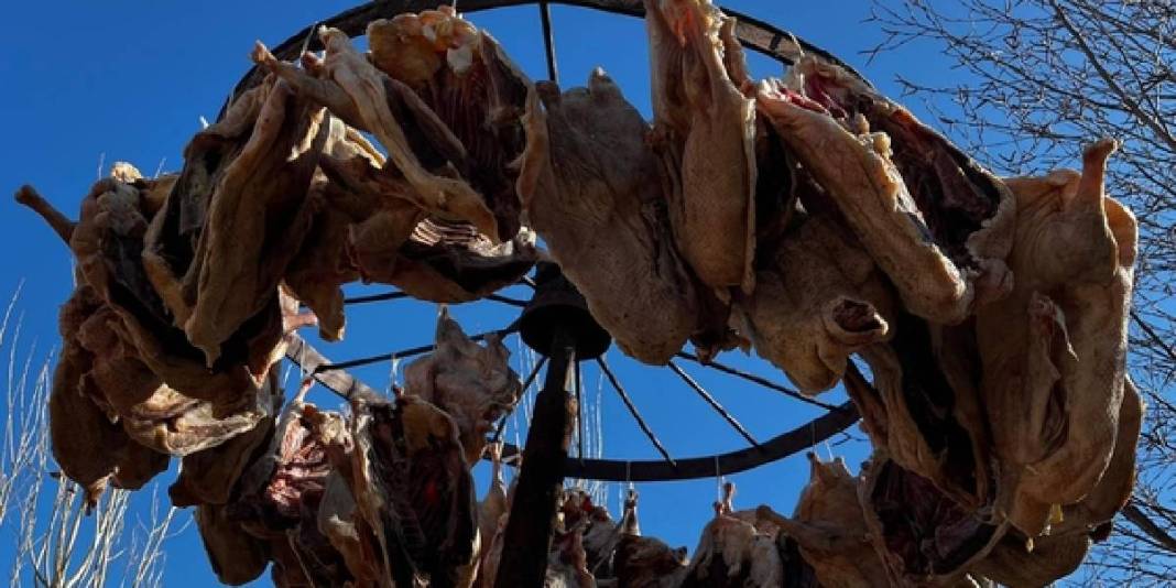 900 tanesini sıralıyor, kurusun diye açık havada bırakıyor! O yetiştiriyor talep patlıyor: Gurbetten sipariş yağıyor 5